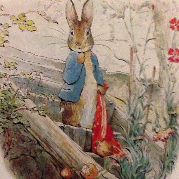 Can't go wrong with Peter Rabbit, and all of Beatrix Potter's other stories :3