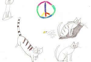 Cats-n-peace