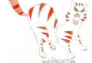 Warrior Cats 10-26-2009 Wildtalon